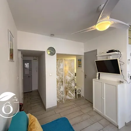 Superbe T1 Bis Sur Le Port Et Rue Pietonne Daire